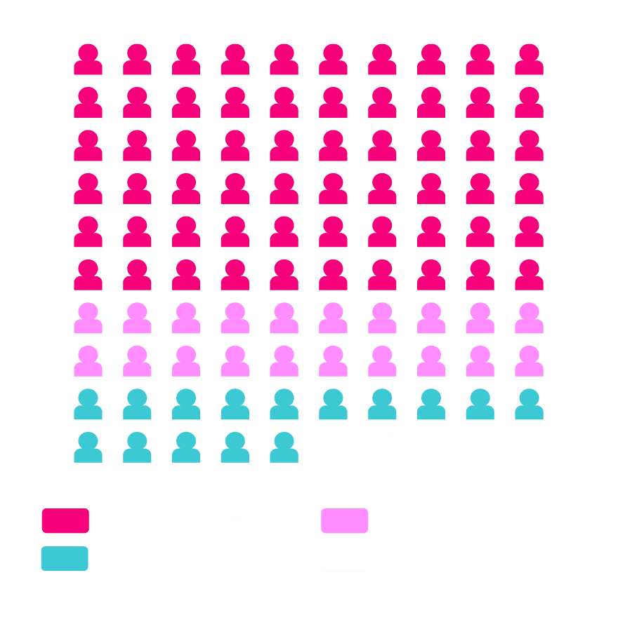 MoneyLIVE Summit Audience Breakdown